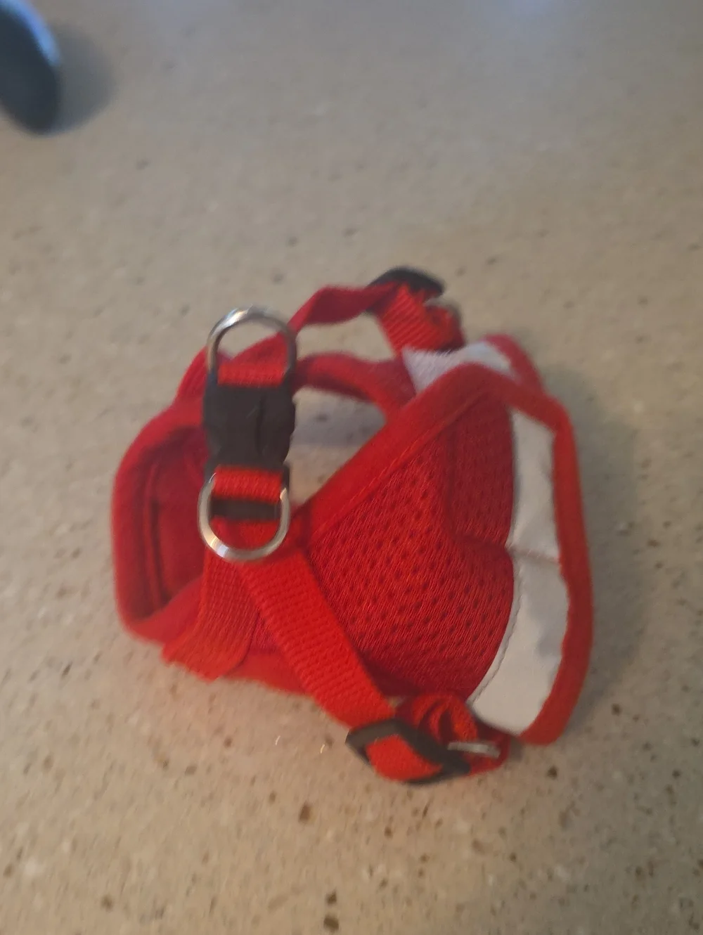 Travel Cat Red Reflective Pet Harness